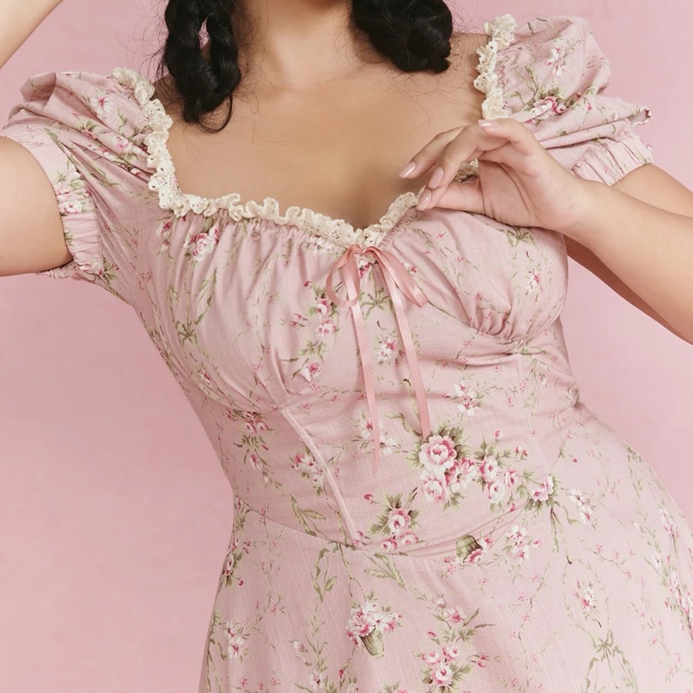 NWOT Lacemade Pink Roses Rosa Rubus Story Corset Dress Size 3XL - Picture 4 of 16